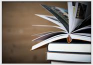 Popular courses for studying in Netherlands